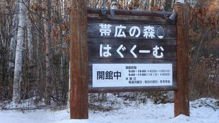 森林の中の施設