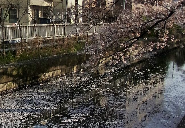 仙台堀川公園 クチコミ アクセス 営業時間 木場 東陽町 清澄 フォートラベル