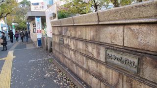 橋の下を電車が走ります、今は工事中で見られませんが