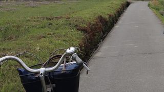 電動式は品切れ(*_*)