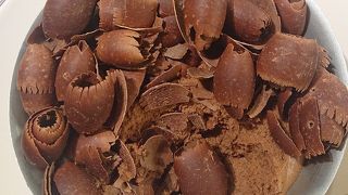 メニューの名前は覚えられない