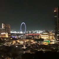 遠くに観覧車とサイエンスミュージアムが見えます