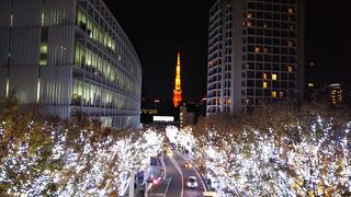 東京タワーが印象的☆