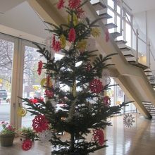 季節柄、１Fにはクリスマスツリーが設置されていました