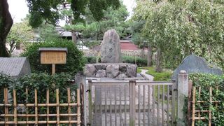 お茶は栄西禅師によって広まったのねぇ