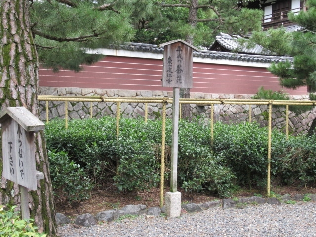 次は令和の茶苑ができるのかしら