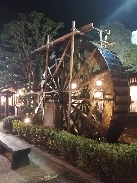 チェーン店の様でしたが、そばもつゆも十分おいしかったです。