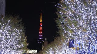 クリスマスイルミ