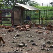 笛吹川に面した自然公園