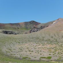 山頂付近はこんな感じ