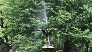 新緑をバックにしています。