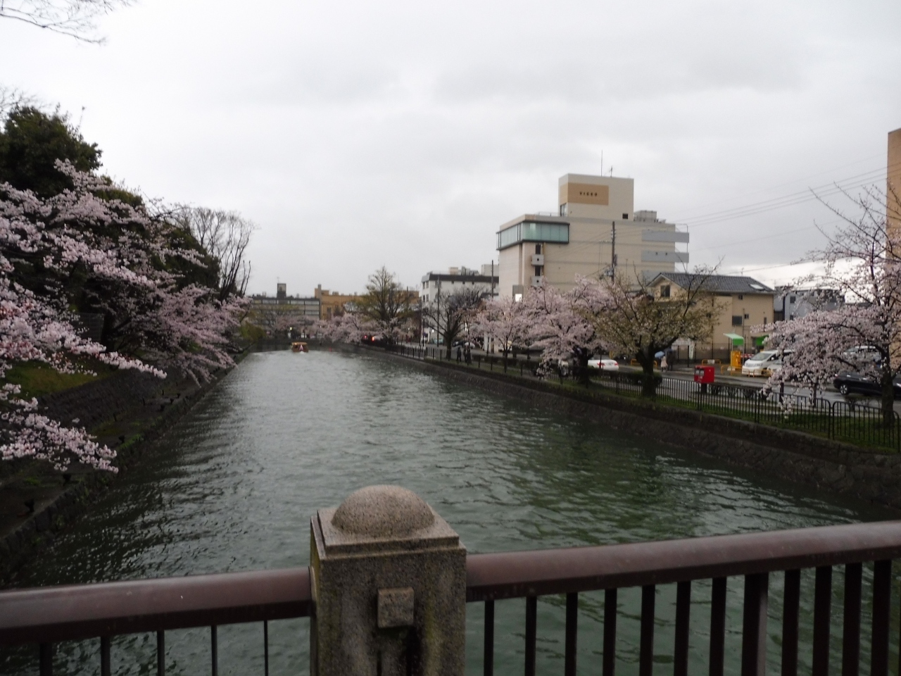 琵琶湖疎水の運河に公園は囲まれています