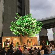 日本初のLEDのクリスマスツリーのささしま