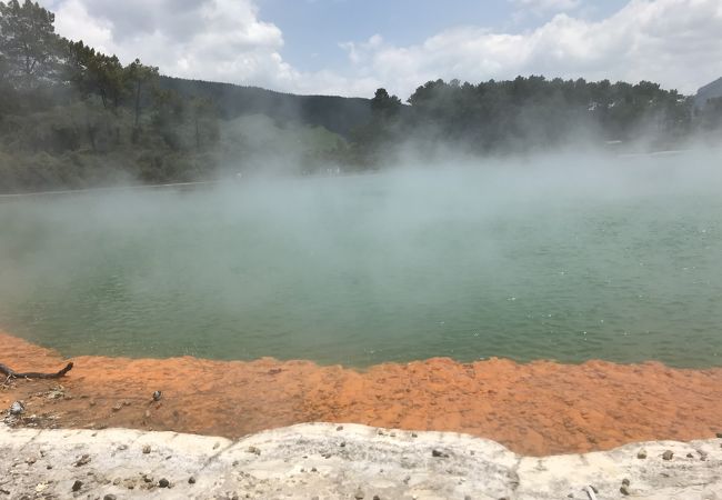 シャンパーニュプールが見ごたえあり