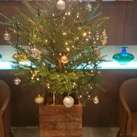 クリスマスシーズンに行きましたので、クリスマスツリー飾られて