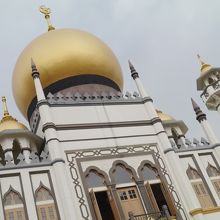 特徴的な見た目。