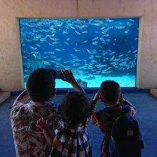 西オーストラリア州立水族館