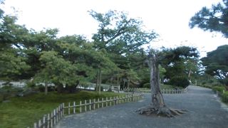 兼六園のメインの場所