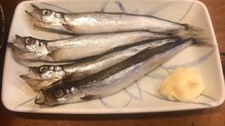 アットホームな居酒屋さん