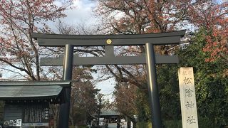 秋の松陰神社へちょっとお立寄り