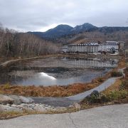 かつてロープウェイの駅だった志賀高原山の駅の目の前にある小さな池です。