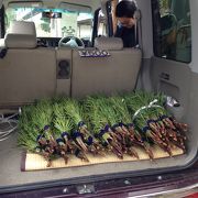高野マキなら此処です