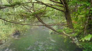 あいにくの天気だったけど。