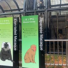 新しい動物の解説板