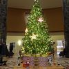 今年のホテルオークラ福岡のクリスマスを飾るツリーとイルミネーションを見てきました!!