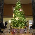 今年のホテルオークラ福岡のクリスマスを飾るツリーとイルミネーションを見てきました!!