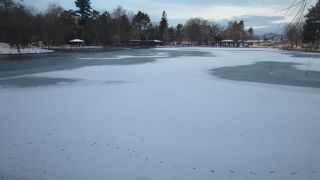 初冬の朝の常磐公園の様子