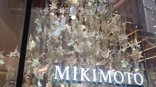 クリスマスツリーをみに来ました。