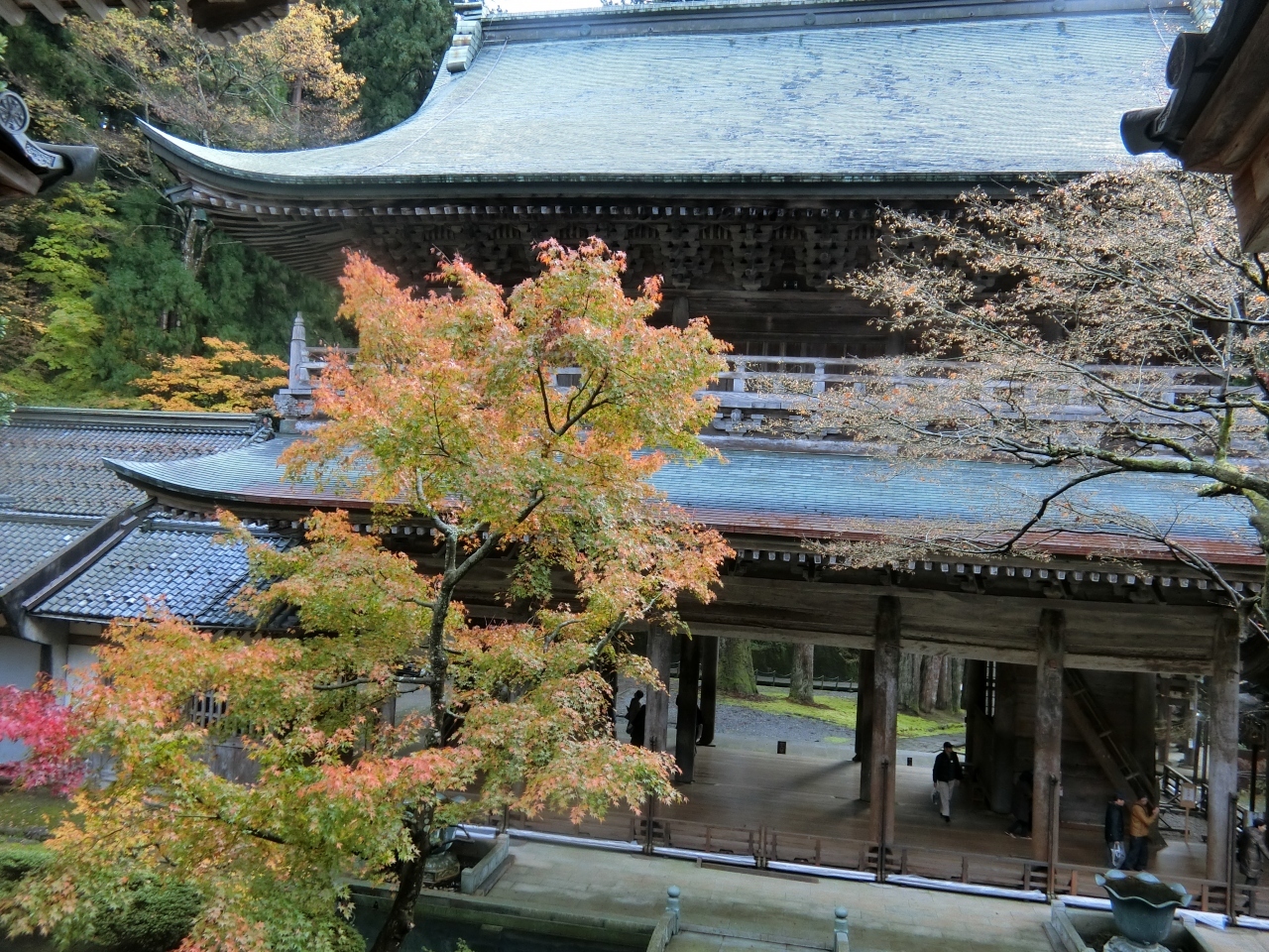 七堂伽藍の中で最も古い門