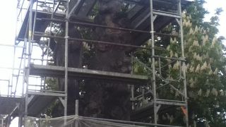 修復工事中であった