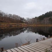 旭山から下山した所にある池です。