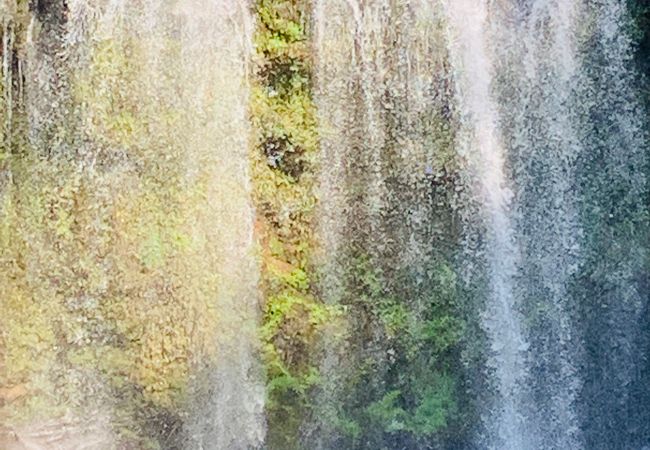 「 済州島三大瀑布  」 のひとつ  ？？？   第一瀑布は カラカラ～ (@_@)  水 全く無し！