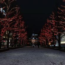 赤のイルミネーション