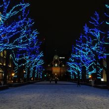 青系のイルミネーション