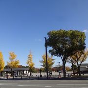 城の前に広がるゆとりの公園。