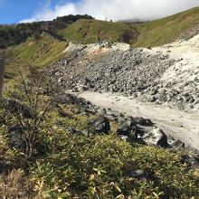 独特な雰囲気です