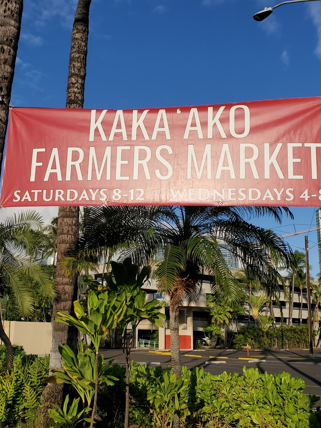 夕方のまったりした雰囲気も素敵です
