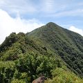 雑木林の登山道を抜けると、山頂から内陸の展望がいい！