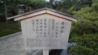 唐崎松のすぐ近く