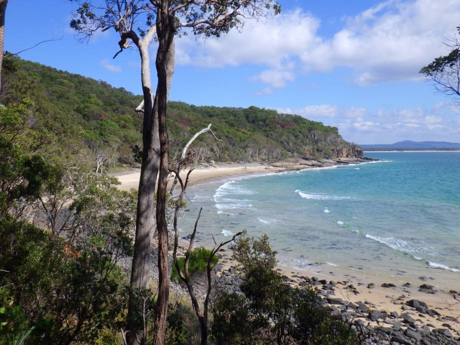 ヌーサ国立公園