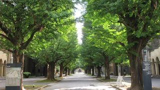 歴史の重みを感じさせる建築も多く、銀杏並木と相まって散策するのにふさわしい場所。