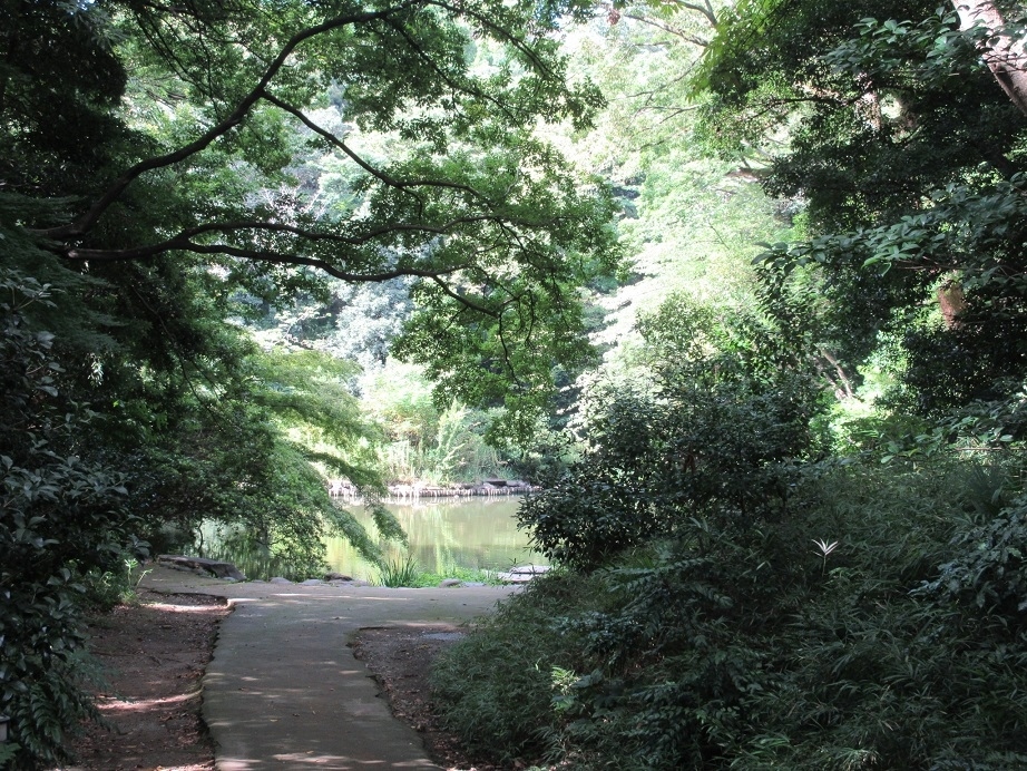 思いのほか起伏も激しく、東京の中心とは思えない、不思議な静寂が支配する場所。