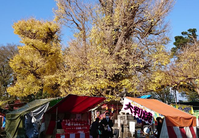 飯泉観音のだるま市