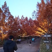 森林植物園