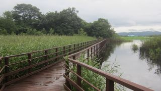 新潟県立大潟水と森公園