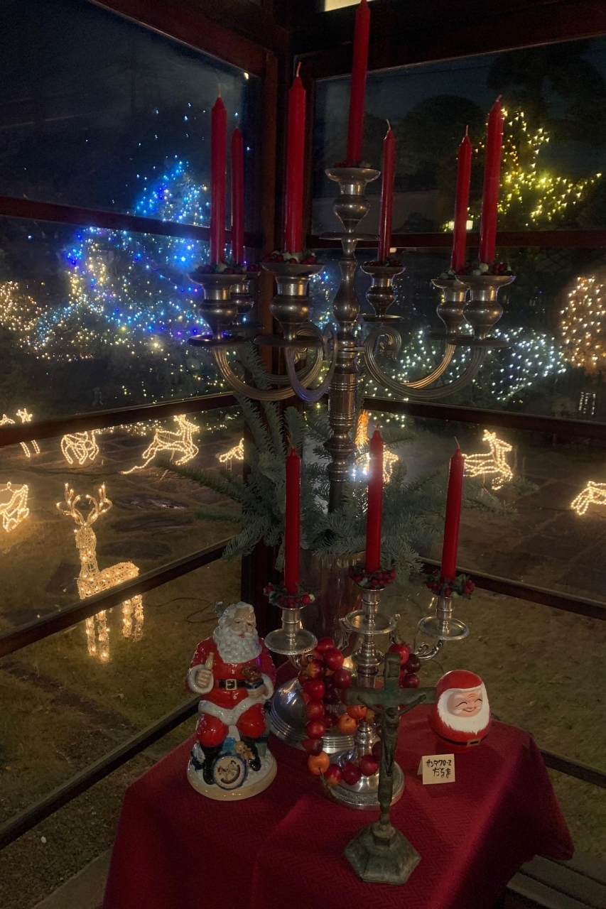今年もクリスマスイルミネーションが素敵でした！ガラスに映り込む光まで計算しているのが凄いです。